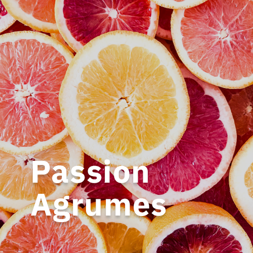 Paniers-Gourmands-Theme-Passion-Agrumes_Le-Carrousel-de-Vern